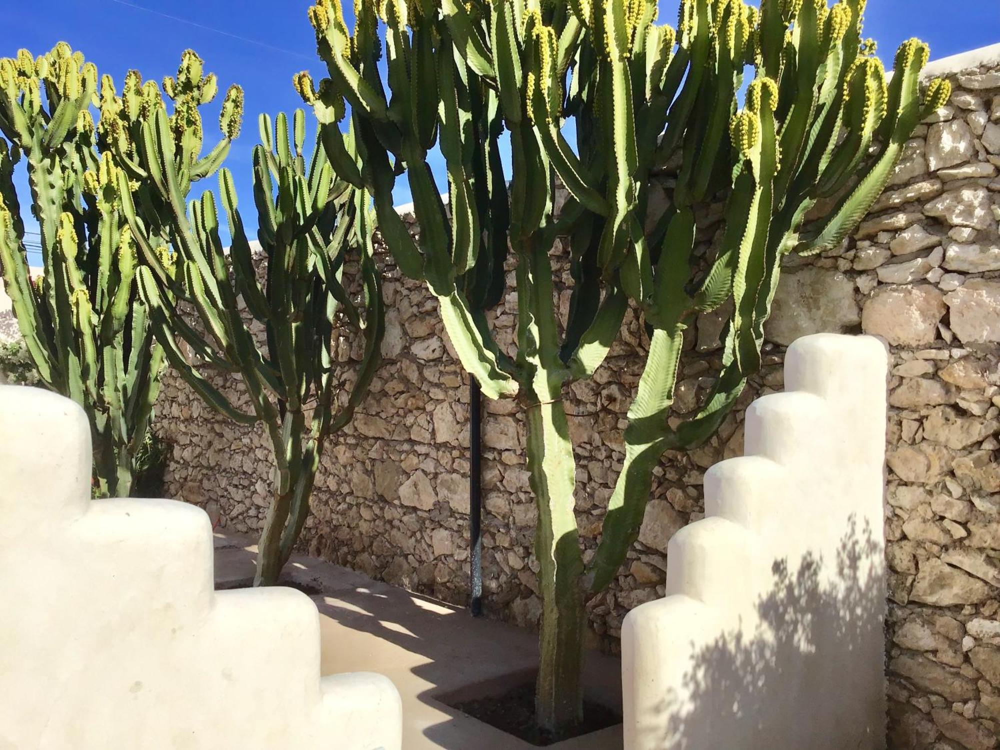 Dar Alya Essaouira Maison Et Table D'Hotes Ghazoua Екстер'єр фото